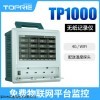 TP1000 【拓普瑞】TP1000 高精度温湿度记录仪