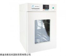 DNP-9012  (1/A) 三发电热恒温培养箱DNP-9022-1wang