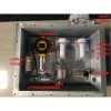 ZH600T 在線式非甲烷總烴監測儀（可訂制）