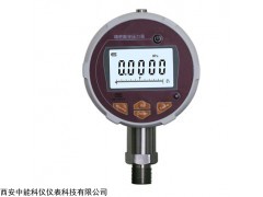 河南ZN-100B标准数字压力表