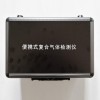 TD400-SH-NO2手持式二氧化氮检测报警仪USB接口