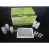 豚鼠胶原蛋白Ⅱ ELISA 试剂盒