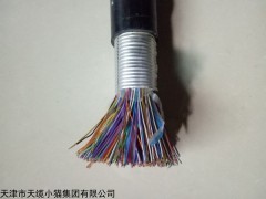 矿用信号电缆MHYV（PUYV）矿用通信电缆