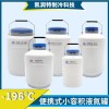 YDS-10 航天液氮生物容器/铝合金液氮罐10升