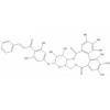 辰光pinocembrin-7-O-[4'',6''-hexahydroxydiphenoyl]