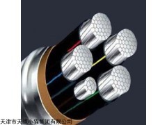 YJV高压交联电力电缆规格 YJV天津小猫电缆价格