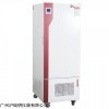 霉菌培养箱BMJ-160C温度湿度恒温发芽箱