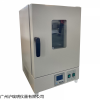 工业立式恒温鼓风干燥箱DHG-9240A电热烘箱