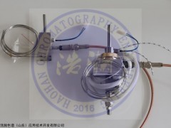 GC--FID 氢火焰检测器的应用实例