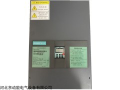 6RA80扩容调速器装置RSS80-S02-280