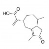 115473-63-7  一枝蒿酮酸