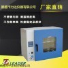 DHG 廠家供應 DHG系列電熱鼓風干燥箱 鼓風式烘箱 煤質分析儀器