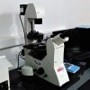 123 1青岛计量公司 荧光显微镜