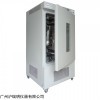 上海森信250升湿度霉菌箱MJP-250S霉菌培养箱