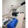 123 1青岛计量公司 常规显微镜