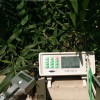 SY-QK1000植物氣孔計 植物光合作用蒸騰儀