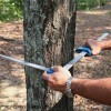 Mantax blue  藍色測徑儀0-1020mm樹木直徑卡尺