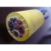 選購UGFP6/10KV高壓橡套軟電纜