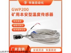 GWP200  軸承電機(jī)用磁吸式礦用溫度傳感器