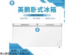 BC-1200WS 卧式食品冷藏冷冻冰柜