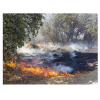 OSEN 森林安全综合管理平台 森林火灾的预防、扑救、指挥