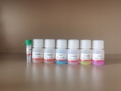 HYDS0045-100T 五色多重免疫荧光试剂盒(四标五色)