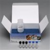 PN520026/96T Abraxis神经性贝类毒素ELISA检测试剂盒