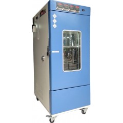HNP-250GSD(Z)单箱综合药品稳定性试验箱