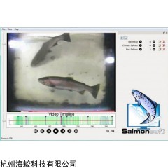 鱼道过鱼摄像计数系统