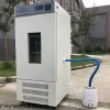 LHP-400恒温恒湿箱 昆虫小动物饲养培养箱