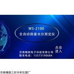 WS-2100 焦化产品卡尔费休水分测定仪