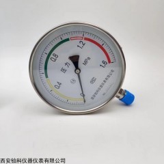 西安仪表厂不锈钢压力表系列