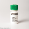 SLD-FAC-BVD 牛病毒性腹泻病毒(BVDV)荧光对照玻片