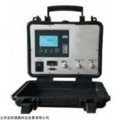 DP30413 便携式氢气纯度分析仪