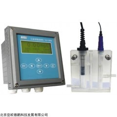 DP14556  中文在线余氯分析仪