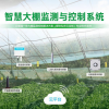 OSEN-WD 温室大棚环境远程智能监控仪器设备