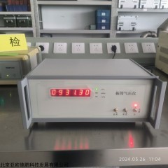 DP-XDY01 振筒气压仪 气压计