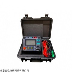 DP-DS1 防腐层绝缘电阻测量仪