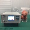 FS-3080A果蔬呼吸仪