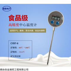 CYBT-7 便携式手持式探针式温度计进口高精