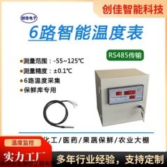 CYCW-406A 智能温度表果蔬保鲜仓库化工医药