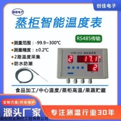 CYCW-302 温度显示仪|蒸柜测温仪