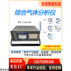 CYCK-401 气体分析仪|气体检测仪