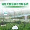 OSEN-WS 农作物种植大棚远程监控系统物联网农田四情测报系统