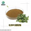 绿原酸含量1.9 杜仲叶提取物 良心品质 纯提取粉 绿原酸含量1.9