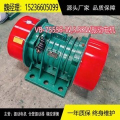 VB-75556-W振动电机5.5KW380V
