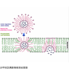 官能团修饰 Reactive PEG Derivatives