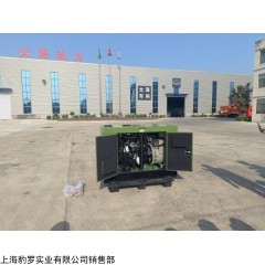 大澤動(dòng)力柴油30kw發(fā)電機(jī)戶外應(yīng)急