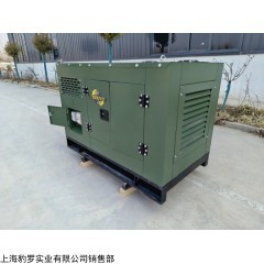 大澤動(dòng)力35千瓦柴油發(fā)電機(jī)組施工建筑