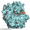 AsahiKASEI日本旭化成工具酶Enzyme